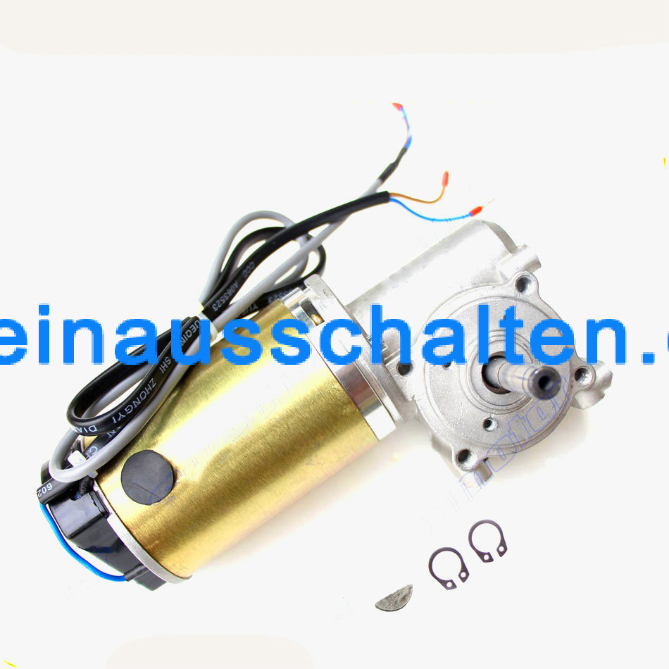 SG63100-DC worm gear motor