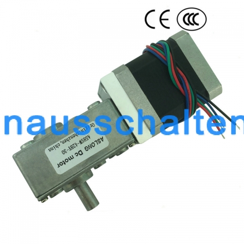 12Volt DC Schrittgetriebe-Motor Dual-Ausgangswelle 24V 4-Draht-Schnecke Schrittmotorreduzierung Motor Hochdrehmoment Selbsthemmend