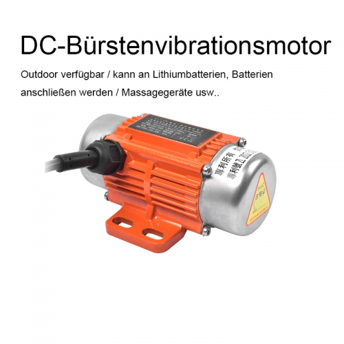 DC-Bürstenvibrationsmotor 24V 12V 30W regelbar Vibrator