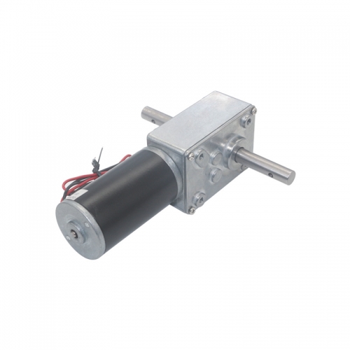 Long Output Axis Worm Geared Motor 12V 24V DC Large Torque High-power Dual Shafts Worm Gear Motor