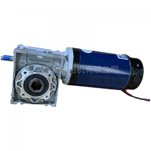 DC 24V motor, reduction motor, worm gear and worm motor, 48V 800W 300W 400W 500W 36V