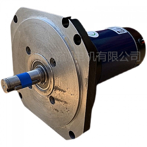 DC220V DC permanent magnet motor 36v24V550W750W800W1000W1100W48V with brush deceleration