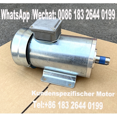 Customized motor DC brushless motor permanent magnet electric motor 48V 36V 1000 rpm 1KW 24V