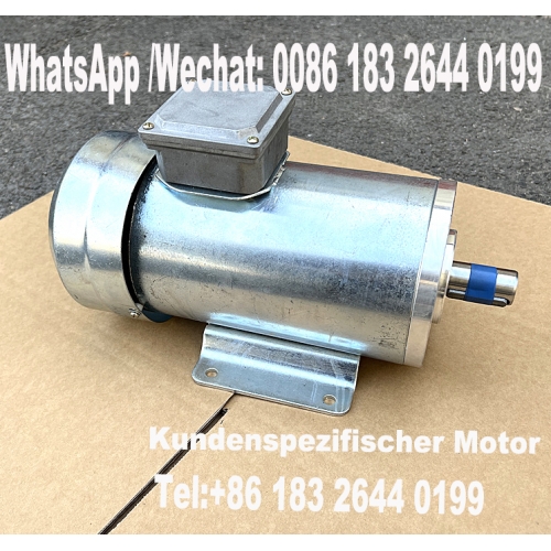 Kundenspezifischer Motor DC bürstenloser Motor Permanentmagnet Elektromotor 48V 36V 1000 rpm 1KW 24V