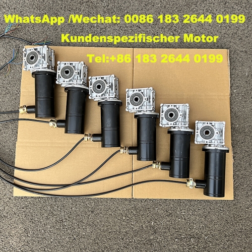 Gleichstrom bürstenloser Motor, explosionsgeschützter Verzögerungsmotor, Schneckengetriebe Elektromotor 24V 48V 50W 80W 200W 1KW 36V