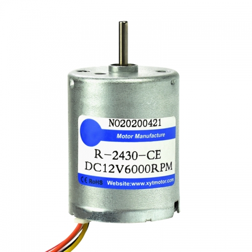 BLDC 2430 12v 24v Low Noise Brushless DC Motor for Medical Instrument